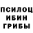 Псилоцибиновые грибы мухоморы Palace Skrillex