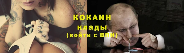 индика Новокубанск