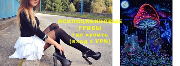 индика Новокубанск