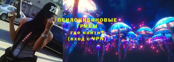 гидра Абаза