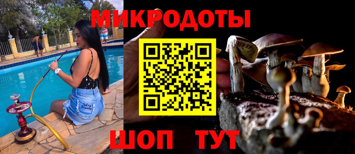 Псилоцибиновые грибы Psilocybe  Псилоцибиновые грибы Cubensis  Екатеринбург 
